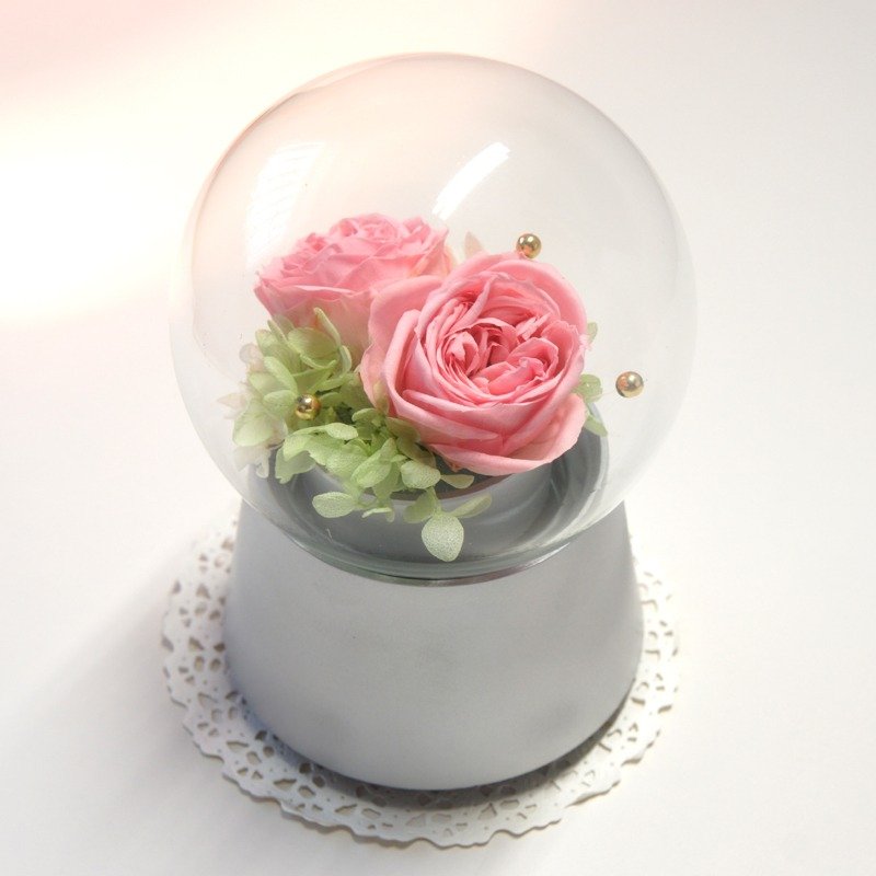 《NEW》不凋花小蔷薇  玻璃水晶球音乐田园玫瑰花花礼  (银色 花边 樱花粉) - 植栽/盆栽 - 玻璃 粉红色