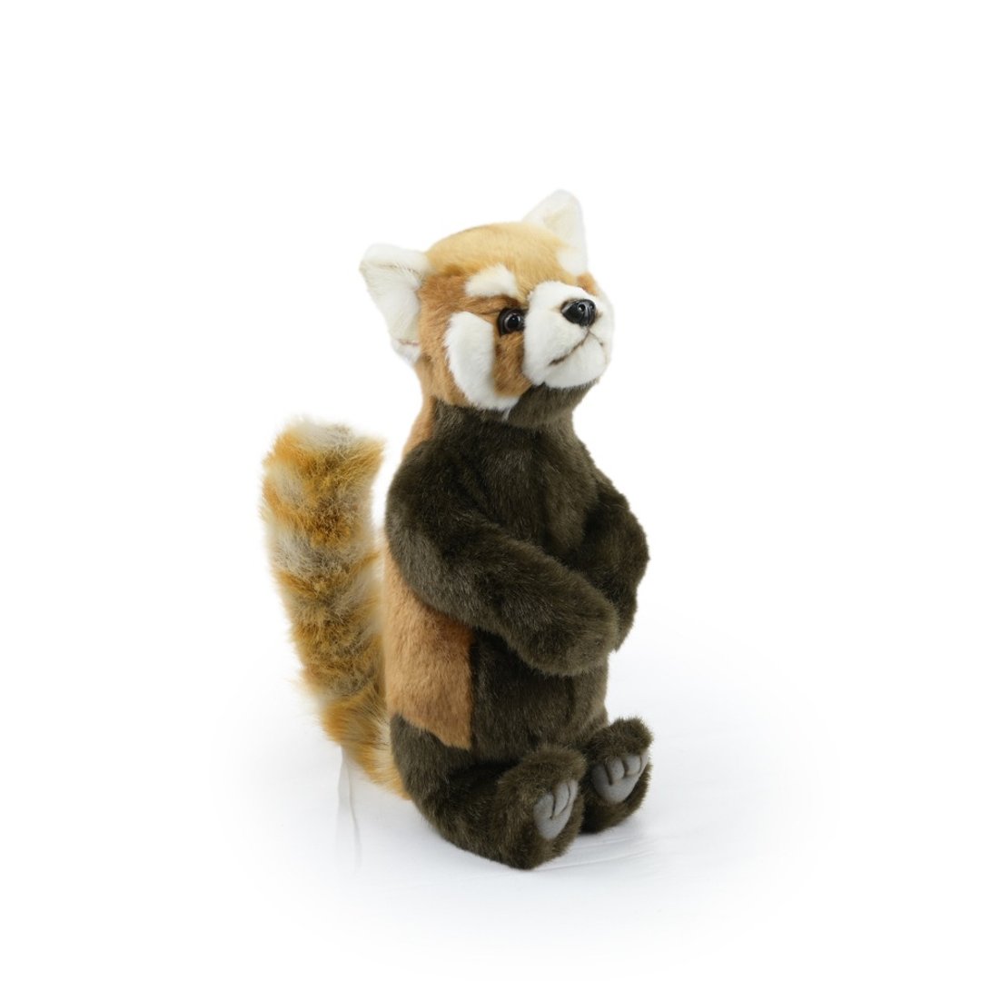 Hansa 7252-小猫熊站姿54厘米 - 玩偶/公仔 - 环保材料 咖啡色