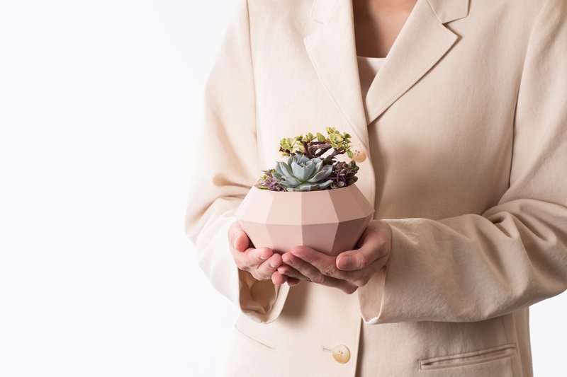 【专车配送】臻珠藏宝 - 以植为礼 / 盆栽 植物 台湾设计 有肉 - 植栽/盆栽 - 植物．花 