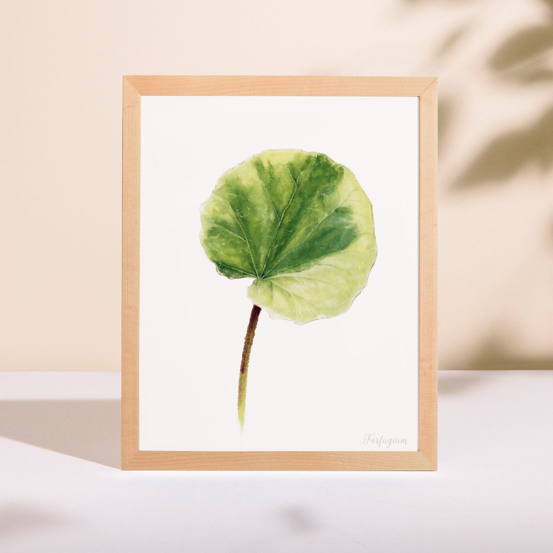 植物的静默 卧房餐厅挂画 植物水彩复制画 清新治愈绿色装饰画 - 海报/装饰画/版画 - 纸 多色