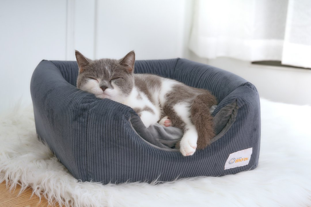 Mochi日本设计精致宠物窝_猫狗_双功能、轻奢丝绒3色可 - 床垫/笼子 - 其他人造纤维 多色