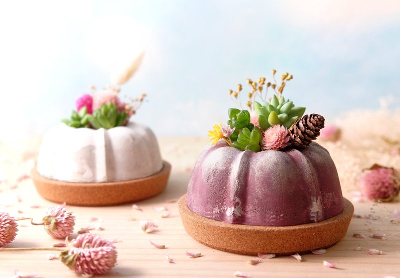 圣诞干燥花多肉：水泥蛋糕盆栽 2入区 / Potted plants - 植栽/盆栽 - 植物．花 多色
