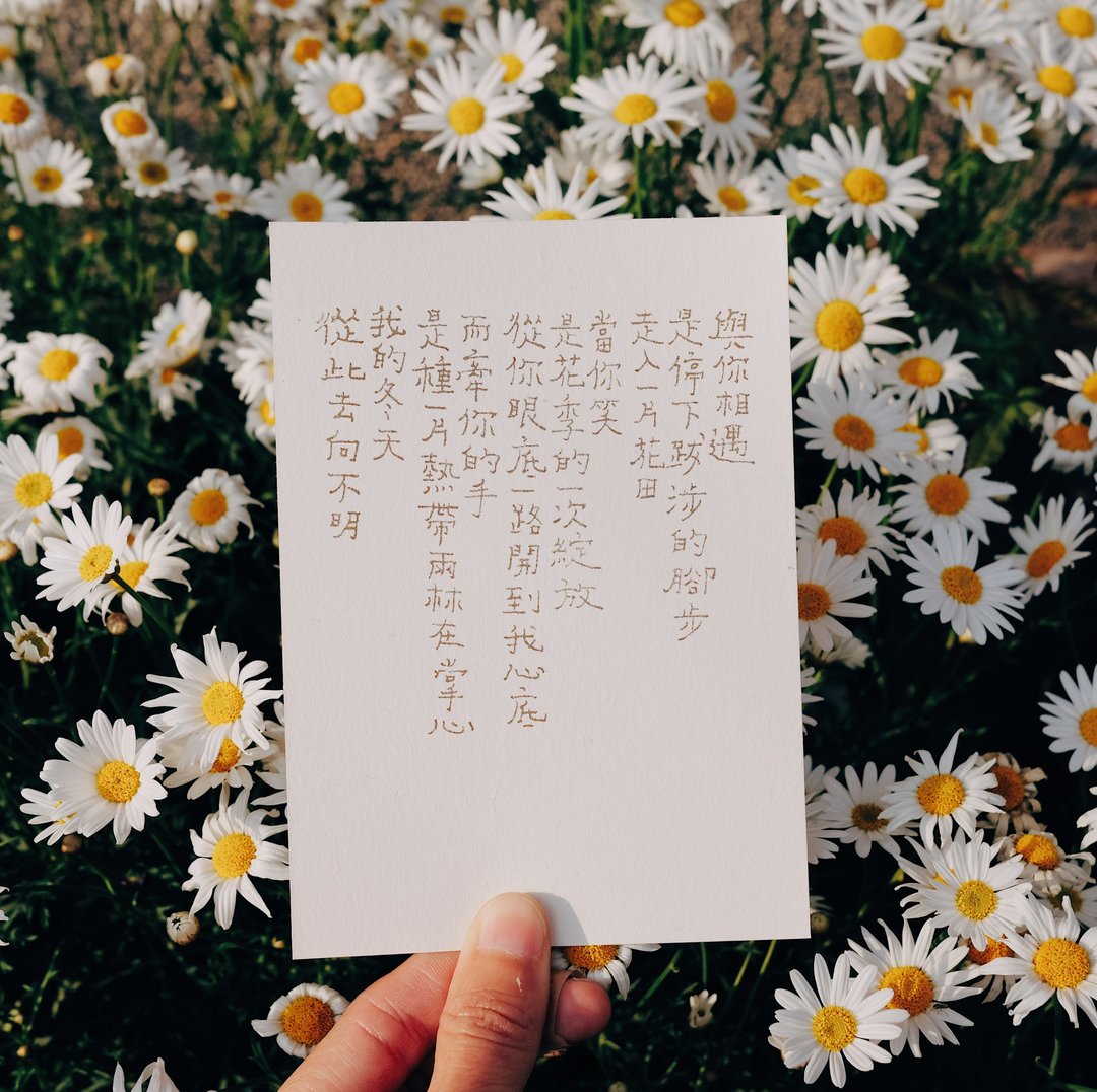 很愿意的人。冬天去向不明 文字明信片 青青的岛 - 卡片/明信片 - 纸 