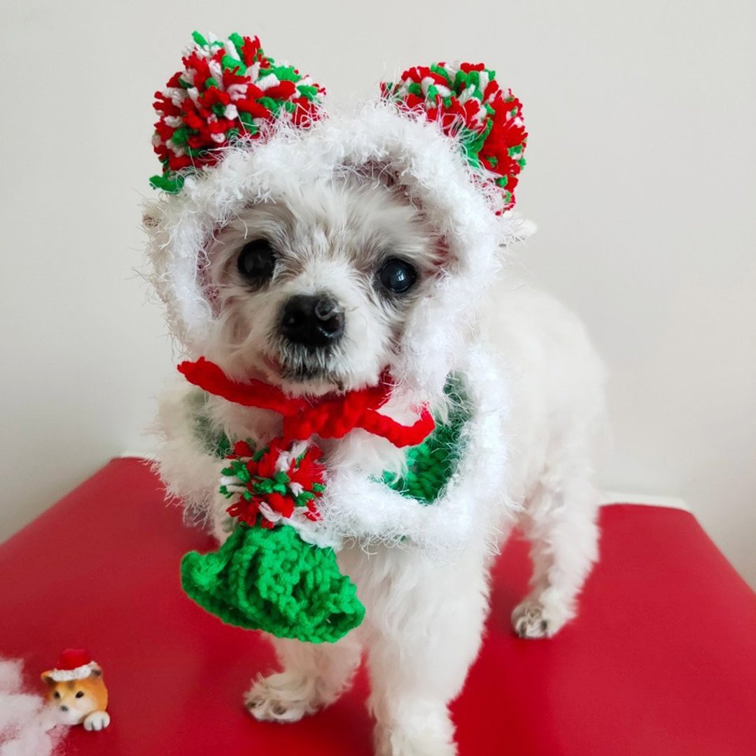 Christmas2020圣诞限定-少女过耶诞-宠物狗狗猫咪帽子/领巾 - 衣/帽 - 棉 红色