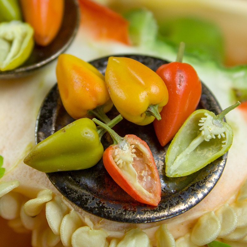 教程：用软陶制作微型辣椒 | PDF+视频 - 手工艺教程/工具书 - 其他材质 