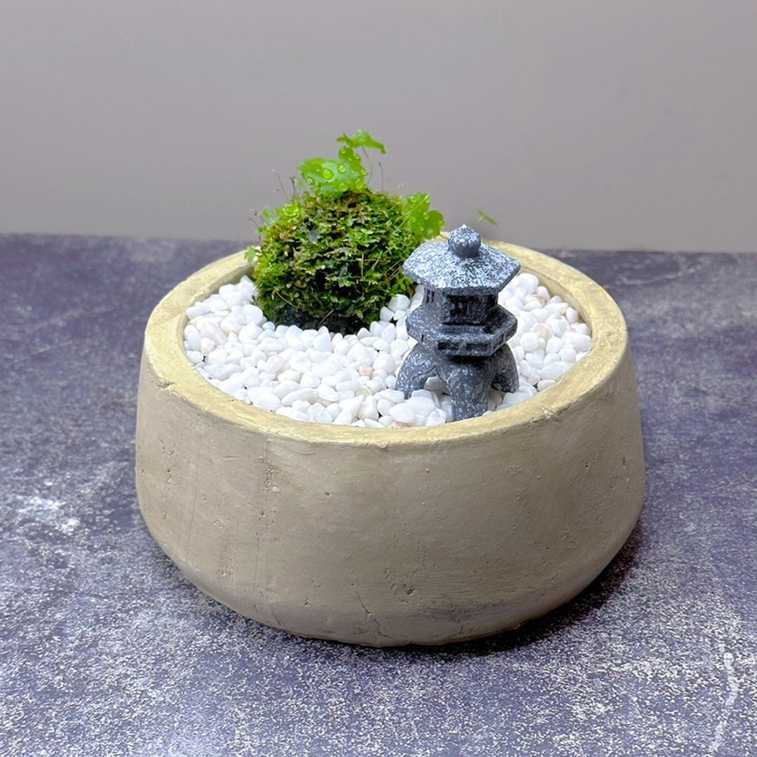 疗愈系-自然苔玉美学 – 孤灯/ 侘寂风 / 禅风 / 盆栽 / 摆饰 - 植栽/盆栽 - 植物．花 