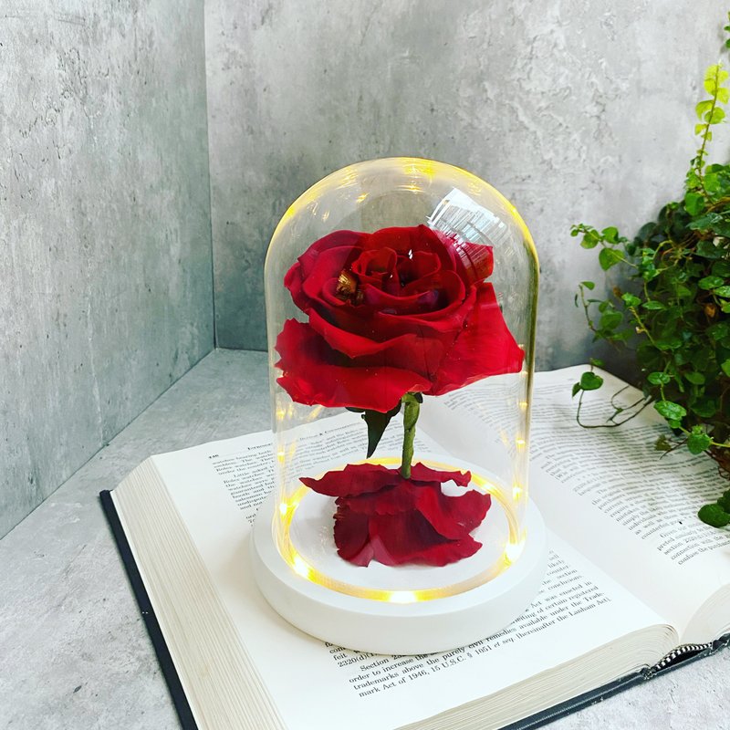 【永生花夜灯】顶级厄瓜多尔尔永生玫瑰|玻璃罩|永生花灯|永生花礼盒 - 干燥花/捧花 - 植物．花 红色