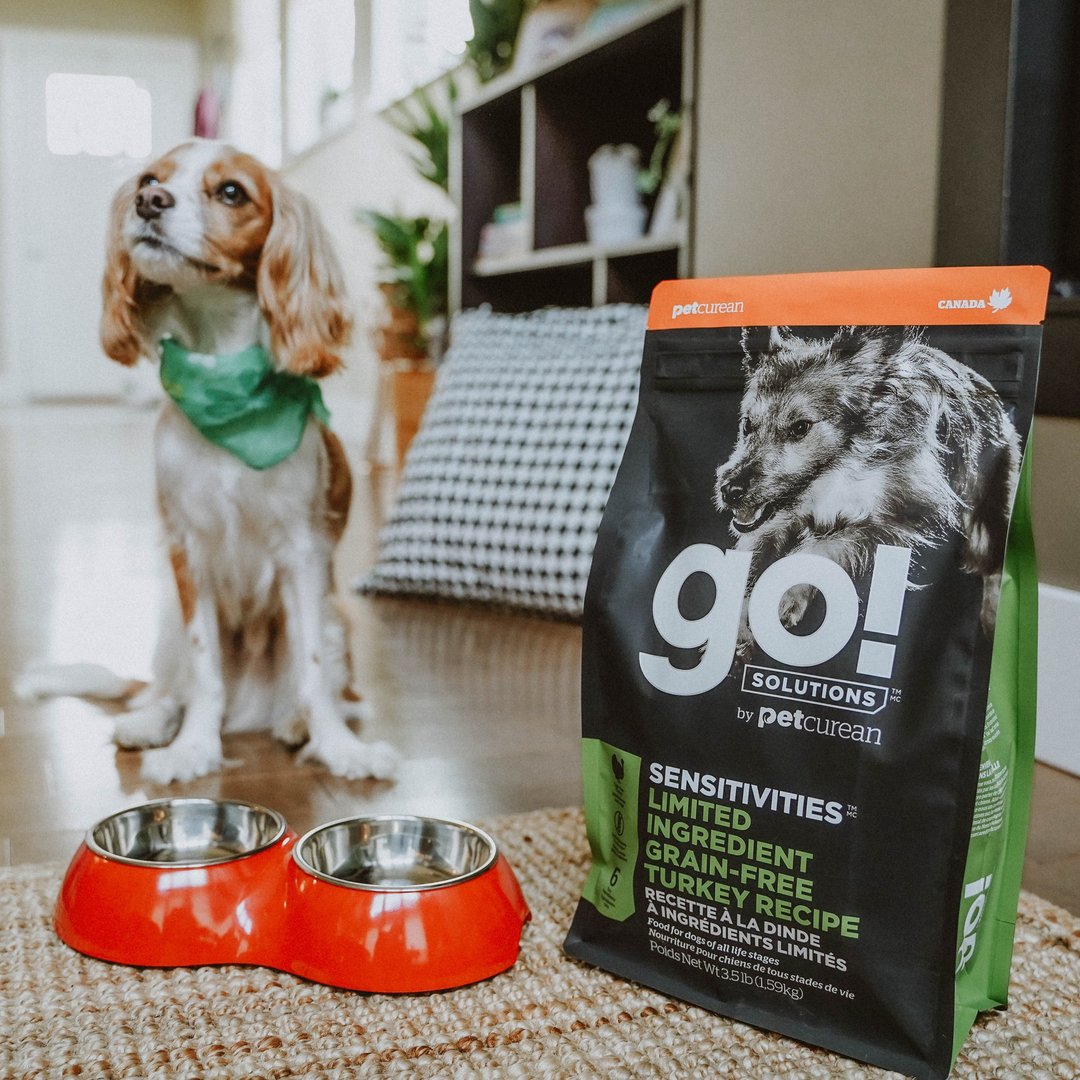 【狗主食】go! 火鸡全犬 低致敏系列 无谷 狗饲料 单一肉类 - 狗罐头/鲜食 - 新鲜食材 