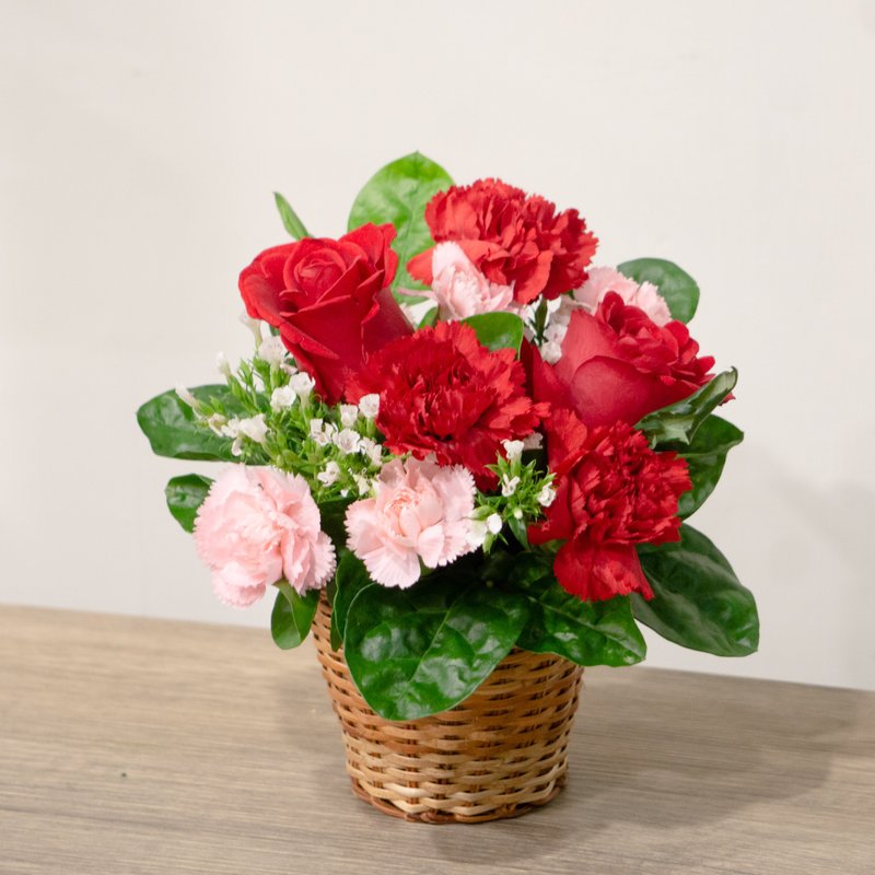 【母亲节】热情红系康乃馨桌花(S) 花礼 - 植栽/盆栽 - 植物．花 