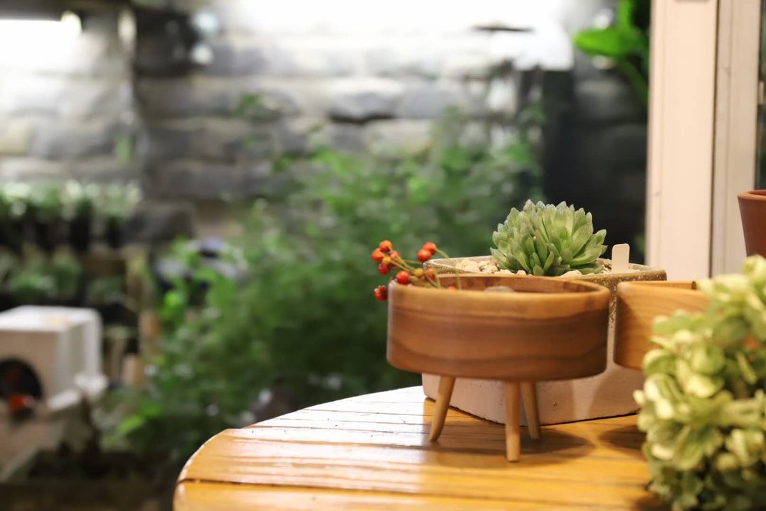 桌面收纳 花器 创意摆件 钥匙零钱首饰 榉木/黑胡桃木 - 收纳用品 - 木头 