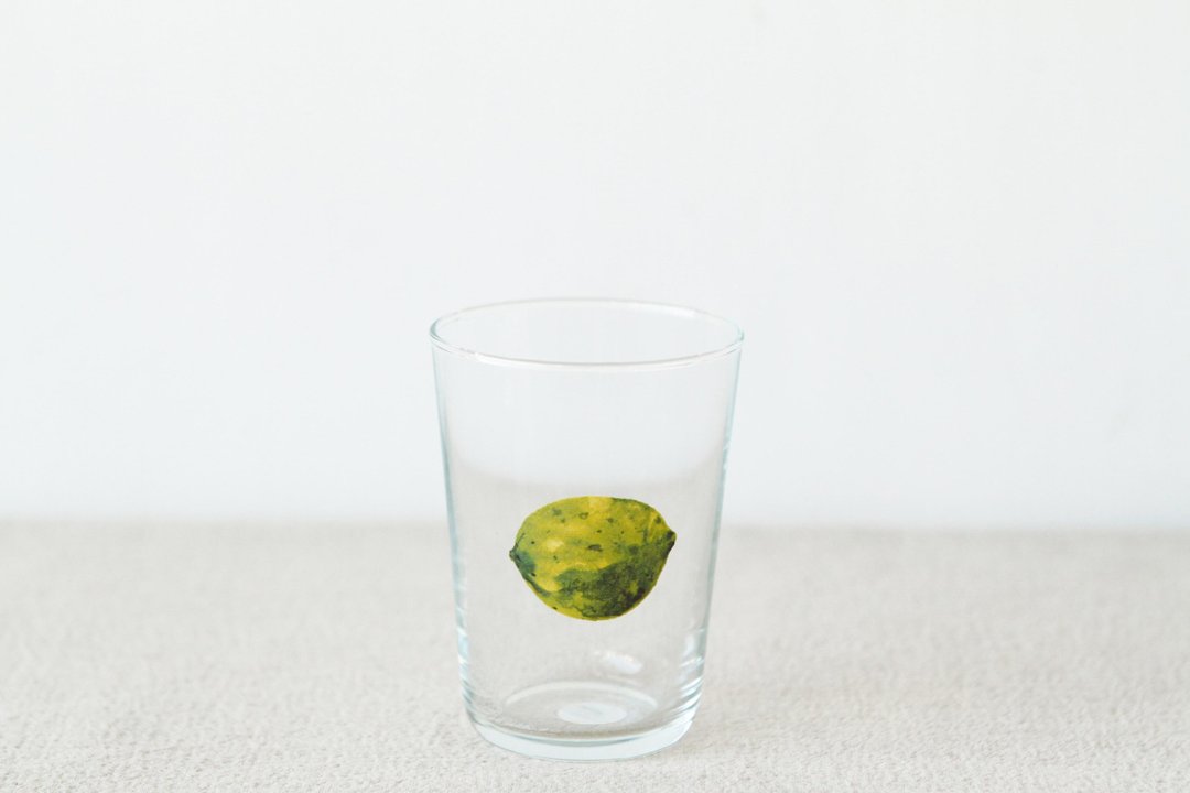 【+t企划】水果玻璃杯-柠檬整颗 - 玻璃杯 - 玻璃 透明
