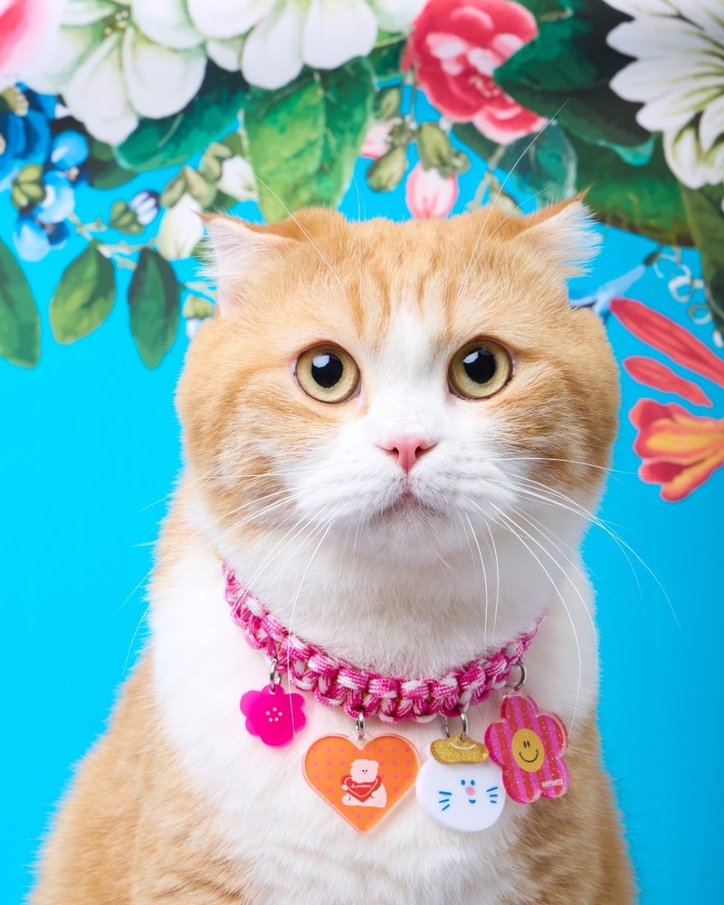 DOGGU PETS 新年项链，现成，毛幸福，有你爱的人，幸福一整年。 - 项圈/牵绳 - 聚酯纤维 多色