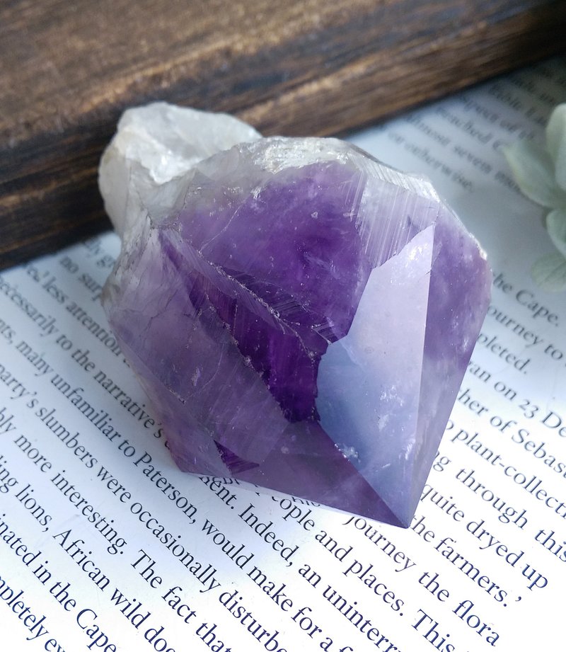 Amethyst 刚果产地 大牙单颗 紫水晶 天然矿石 原矿 - 摆饰 - 其他材质 