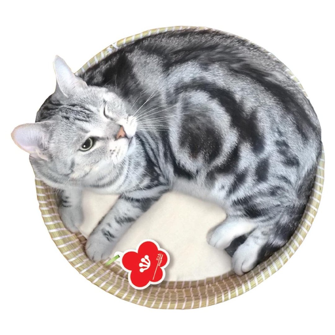 【日本CattyMan】猫用简约风编织睡窝 ( 小红花标签 ) - 床垫/笼子 - 其他材质 咖啡色