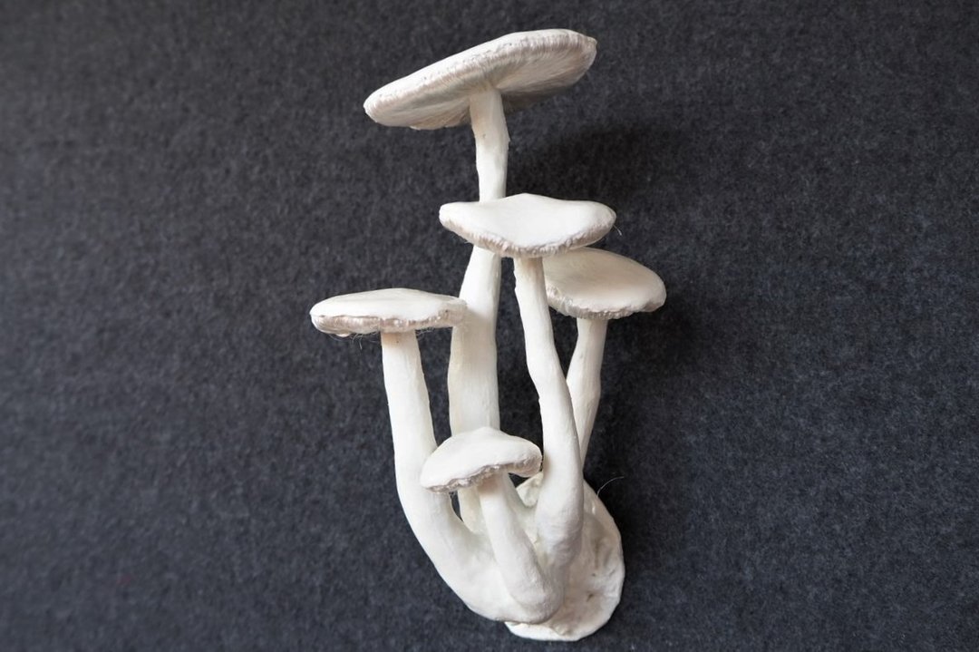 Mushrooms everywhere 14 - 玩偶/公仔 - 其他材质 白色