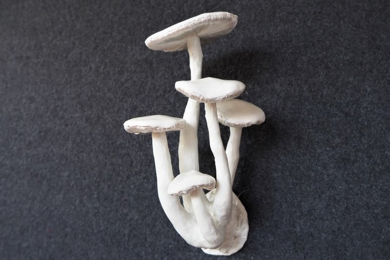 Mushrooms everywhere 14 - 玩偶/公仔 - 其他材质 白色