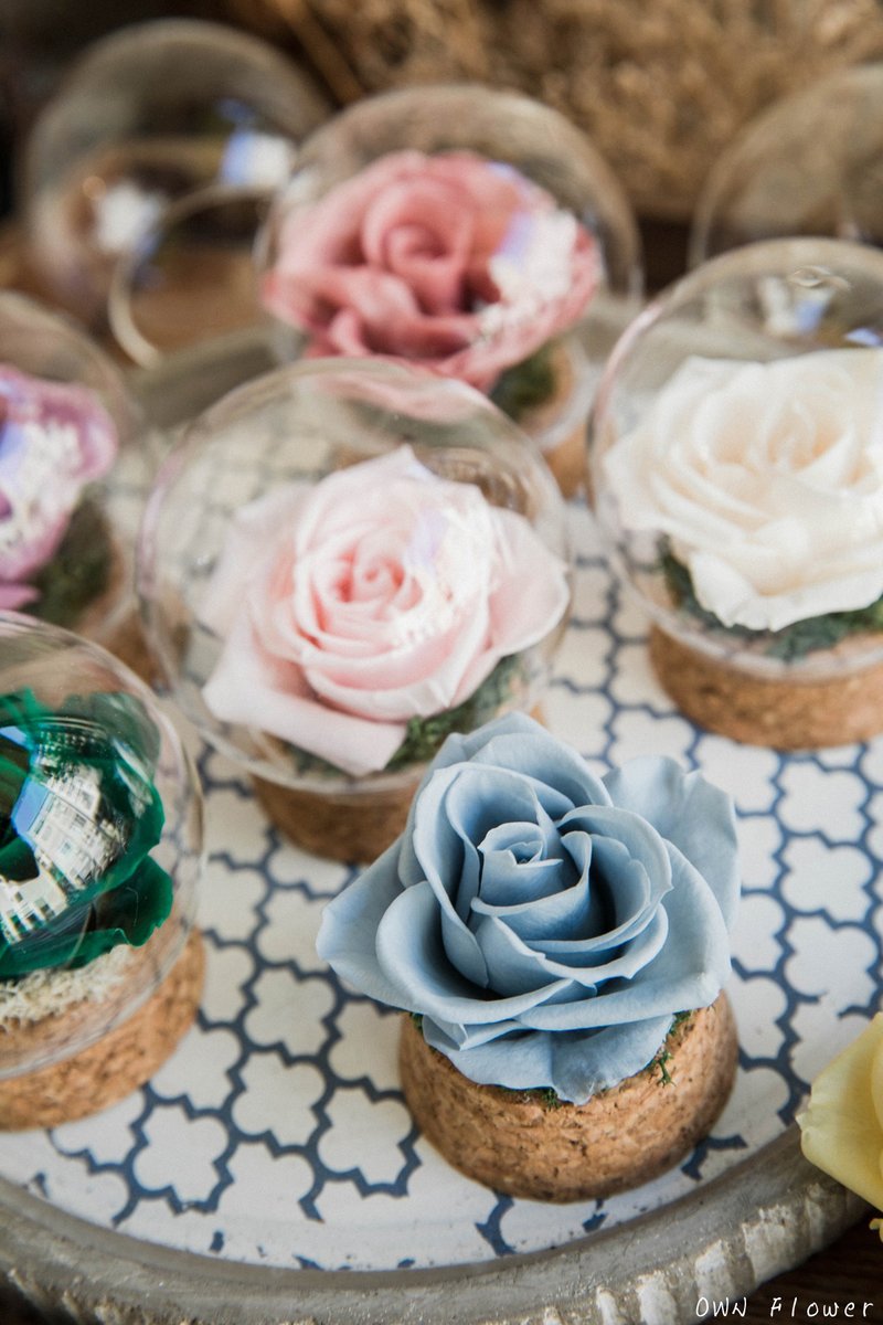 蓝色玫瑰/永生花玻璃球/玻璃花球/永生花盅/永生花礼/毕业礼物/花 - 干燥花/捧花 - 植物．花 蓝色