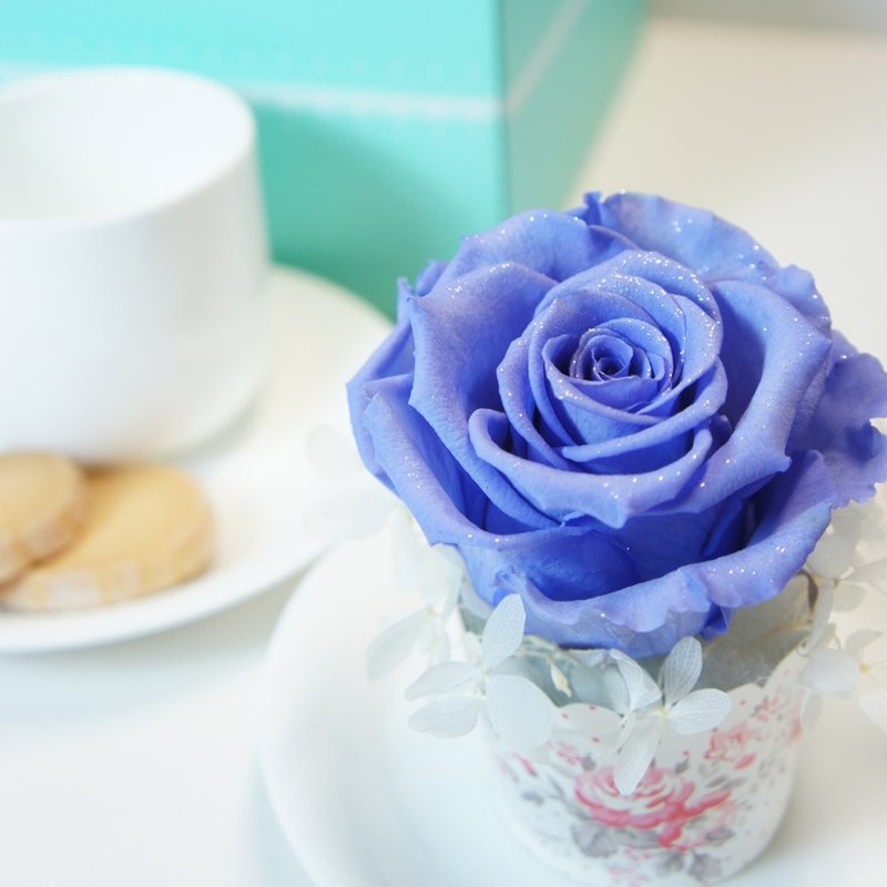 钻石不凋花 杯子蛋糕花礼 - 干燥花/捧花 - 植物．花 多色