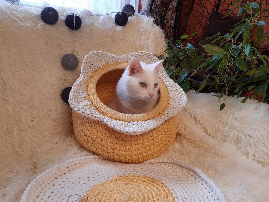 猫屋洋甘菊猫洞钩针宠物床猫沙发 - 床垫/笼子 - 聚酯纤维 