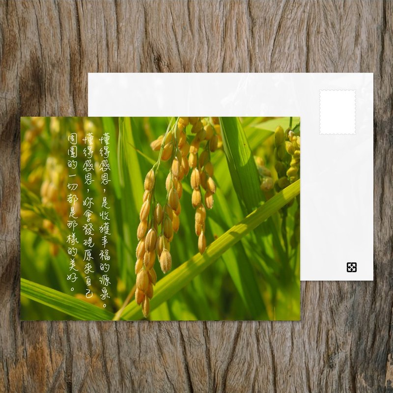 No.B17明信片 / 懂得感恩 / 任选买10送1 - 卡片/明信片 - 纸 多色