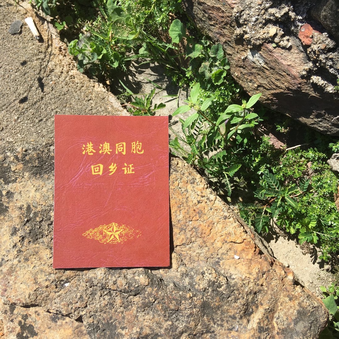 明信片 | #25 回乡证 - 卡片/明信片 - 纸 咖啡色