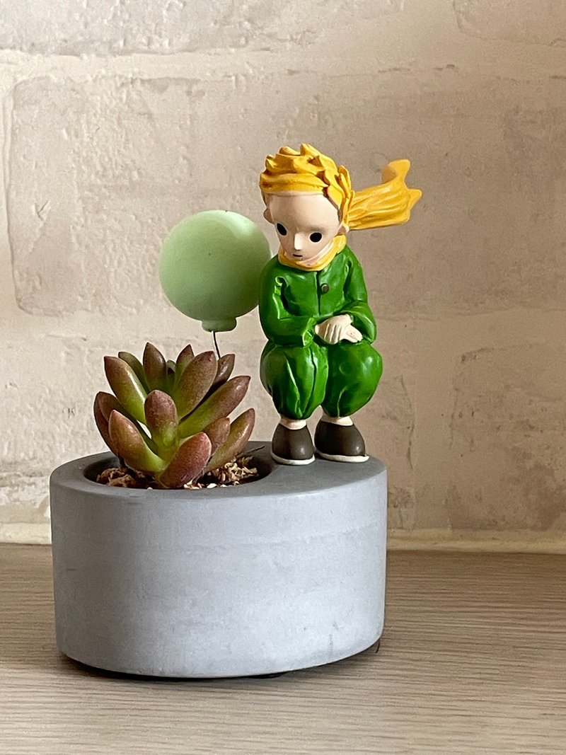 【小王子】杰森植场JASON/多肉/仙人掌/定制化/送礼/植栽 - 植栽/盆栽 - 植物．花 