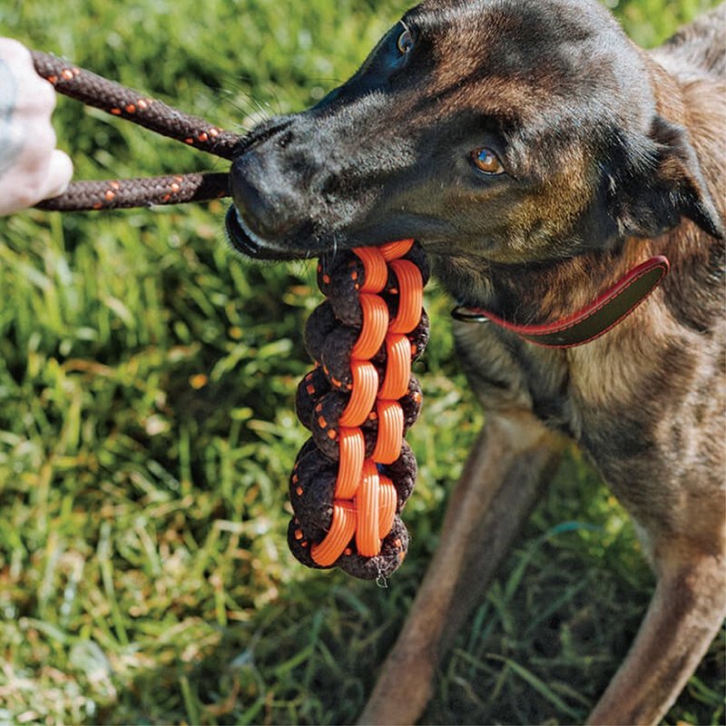 露营野趣 宠物玩具 狗狗 新星拔河绳索 - 玩具 - 棉．麻 