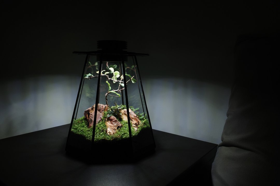 飞行植景/苔藓瓶/生态瓶/植物灯/镶嵌玻璃 - 植栽/盆栽 - 玻璃 灰色