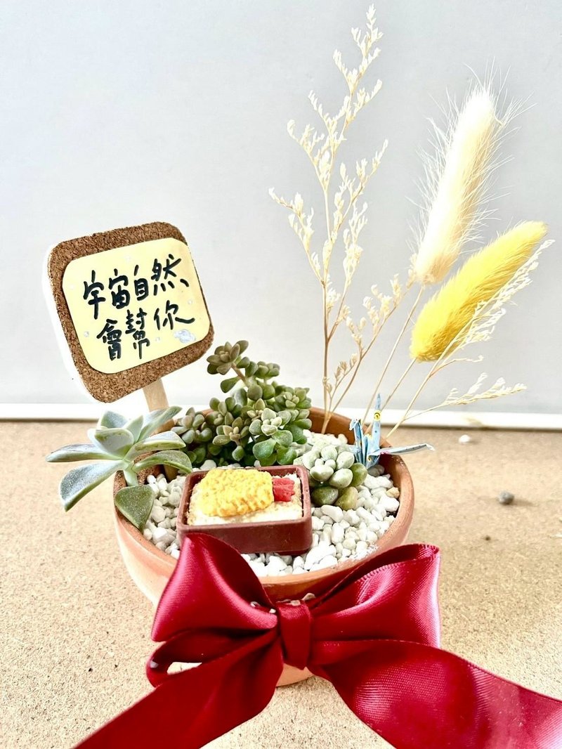 台中 限量多肉组盆 多肉植物 日式枯山水 微景观 炸虾饭 庆祝开幕 - 植栽/盆栽 - 植物．花 绿色