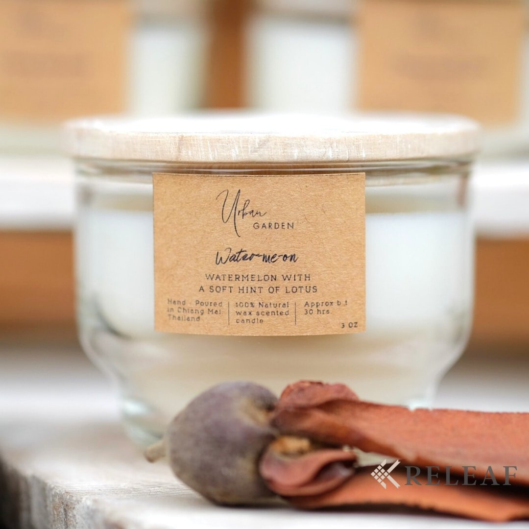 Watermelon &amp; Lotus Scented Candle, Aroma Candle , Soy Wax Candle, Home Spa - 蜡烛/烛台 - 精油 白色