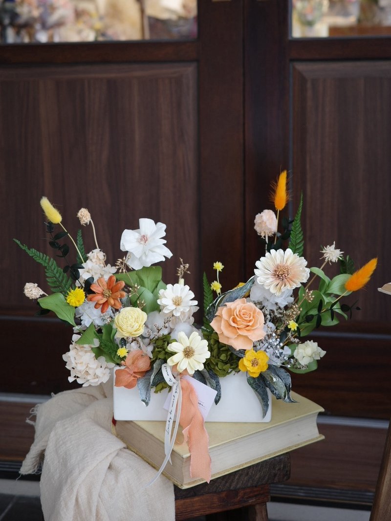 【遇见恒久】橙光微语永生花盆栽 开幕祝贺盆栽 - 干燥花/捧花 - 植物．花 