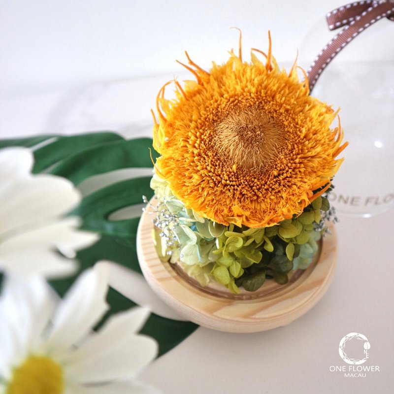 【限定新品】保鲜花/永生花 向日葵发光花座  祝福好开始 - 摆饰 - 玻璃 橘色