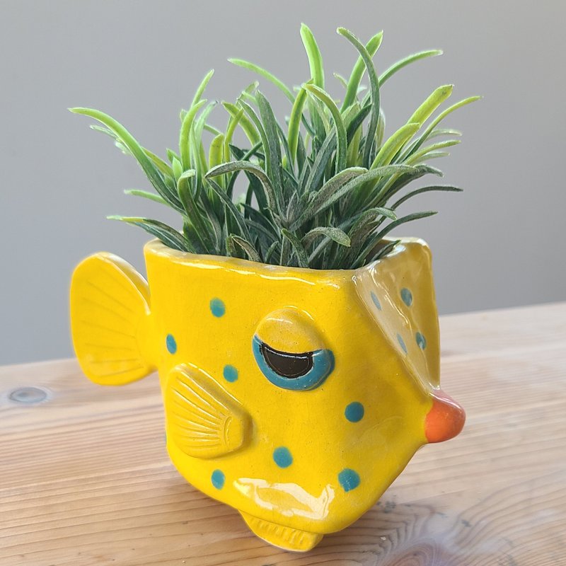 眼神独特的黄色粒突箱豚陶艺花盆 - 花瓶/陶器 - 陶 黄色