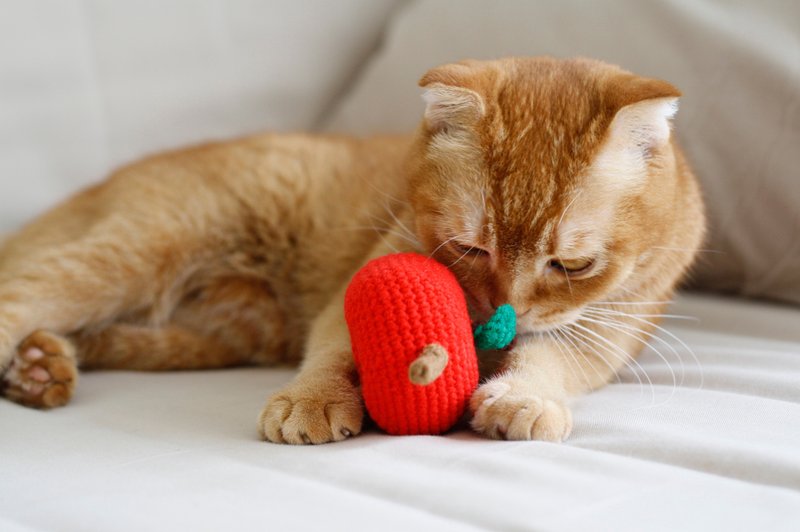 一箭穿心苹果 手工猫草包 猫玩具 猫薄荷 手工编织 - 玩具 - 其他材质 红色