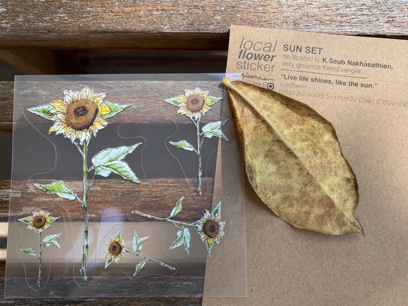 当地花卉贴纸 - SUN SET - 贴纸 - 防水材质 透明