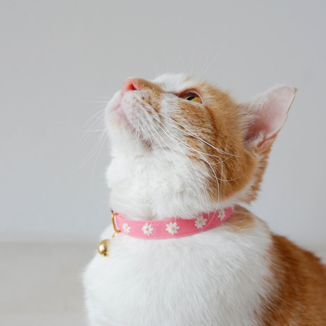 : MINI DAISIES : Rose Pink  - Handmade embroidered flower breakaway cat collar - 项圈/牵绳 - 棉．麻 粉红色
