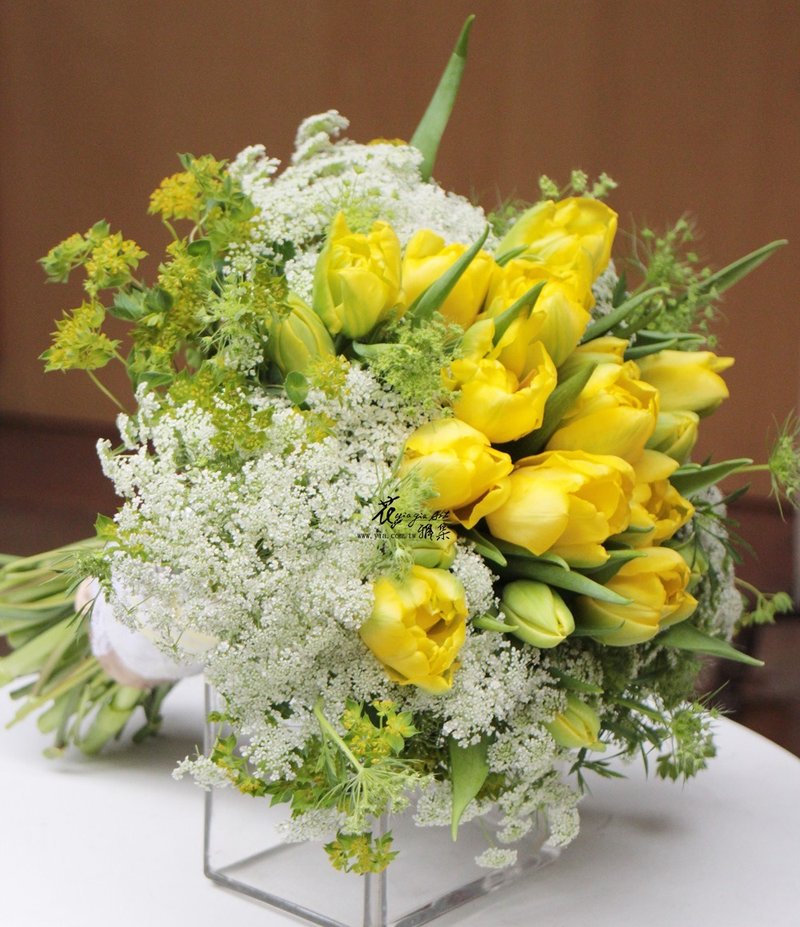 黄嫁纱圆舞曲 - 植栽/盆栽 - 植物．花 黄色