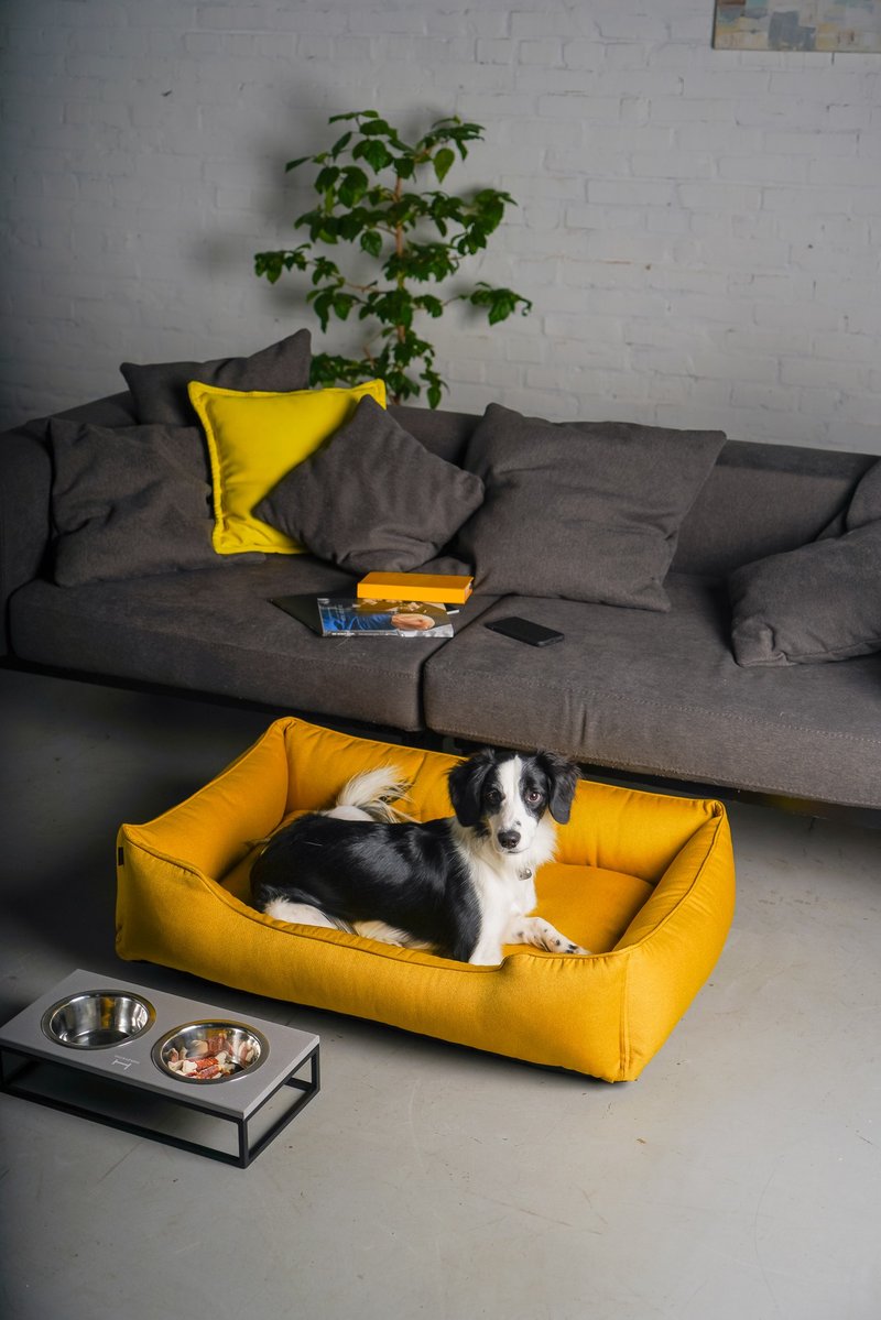 Yellow dog bed for large dog XL Size 110x70 cm/43'3x27'5 inches - 床垫/笼子 - 其他材质 黄色