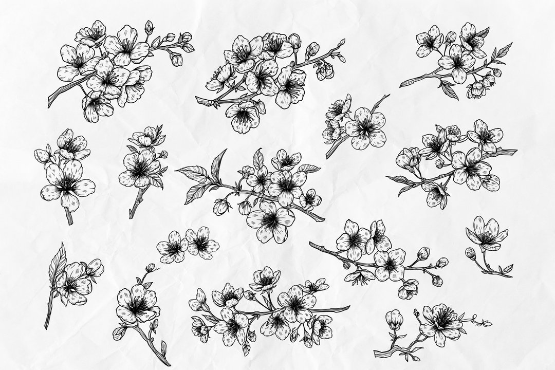 15 Sakura线条艺术插图SVG剪贴画 - 其他数码设计 - 其他材质 