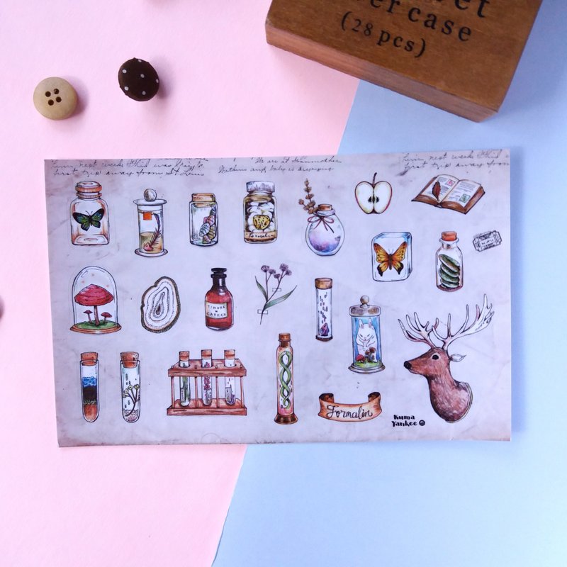 实验室标本透明贴纸 - 贴纸 - 纸 卡其色