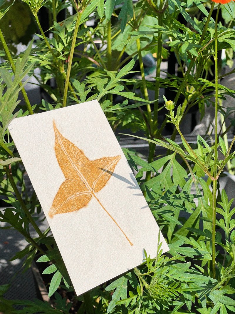 香港植物印染纯棉水彩纸枫叶树叶手工明信片 - 卡片/明信片 - 纸 多色
