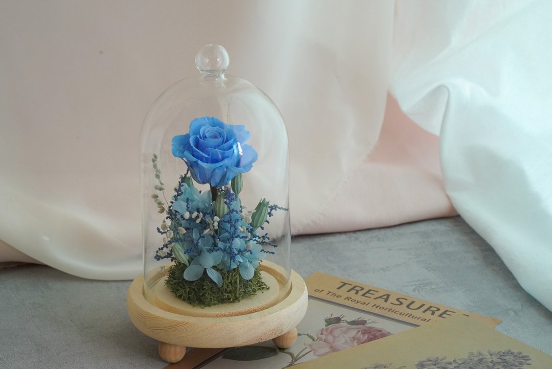 【在线】贝拉花园钟罩 永生花钟罩 干燥花 在线花艺活动 自己选花 - 植栽 - 植物．花 