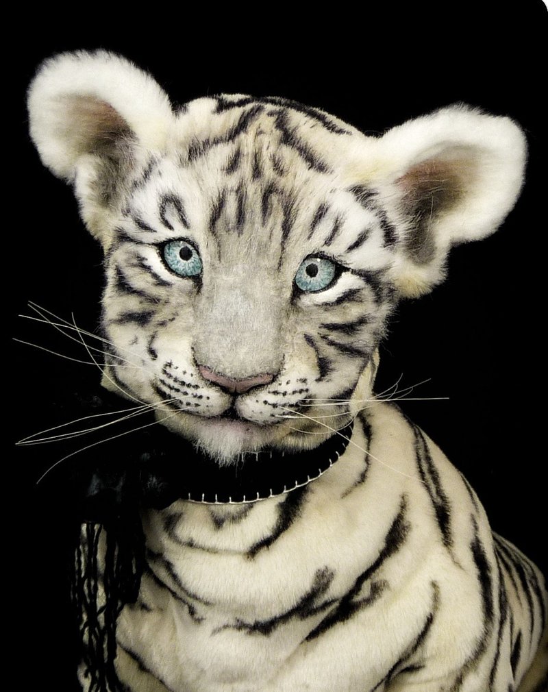 订制写实白虎幼崽玩偶 - 玩偶/公仔 - 其他材质 