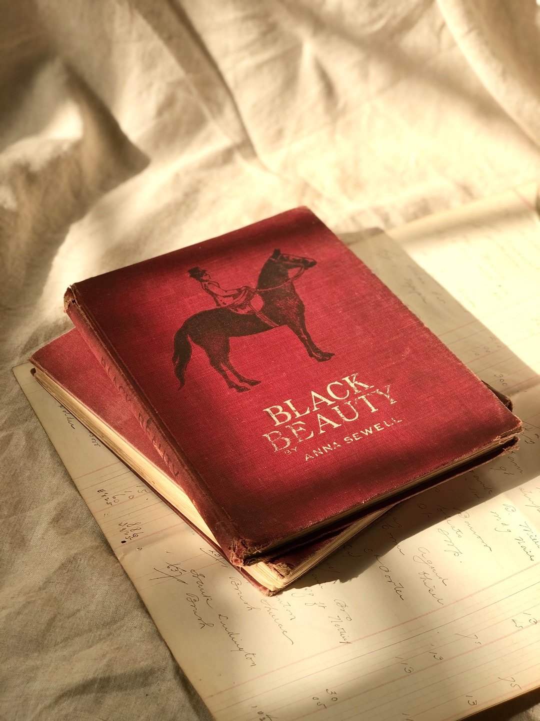 百年古董 1911年美国经典童书 Black Beauty - 刊物/书籍 - 纸 