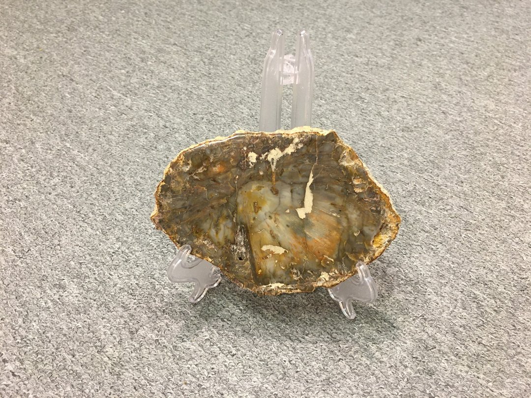 木化石摆件 - 令人的情绪心境都得到平稳安定的感觉 - 摆饰 - 木头 