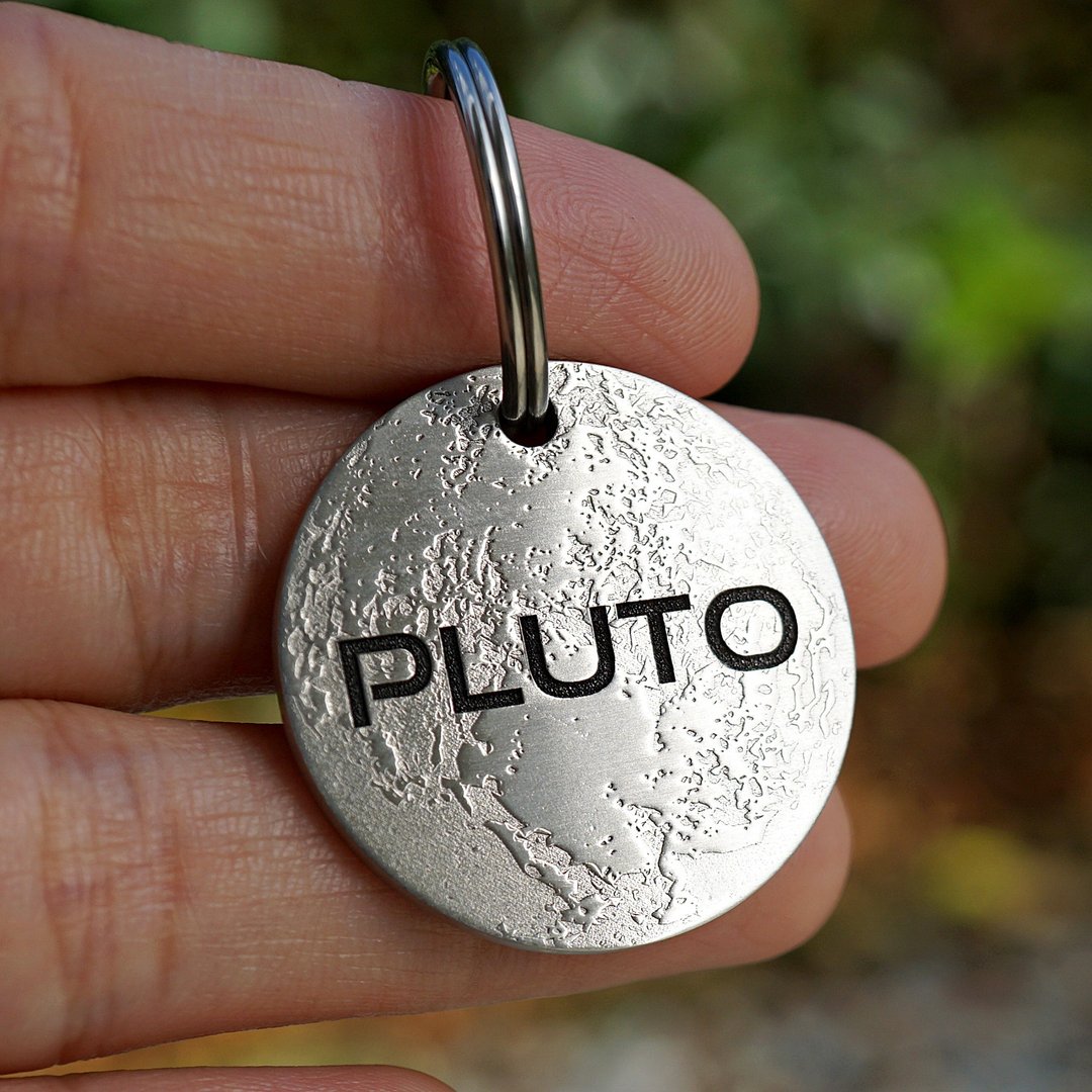 个性化狗牌 雕刻狗牌 定制猫牌 不锈钢 Pluto 宠物牌 - 项圈/牵绳 - 不锈钢 银色