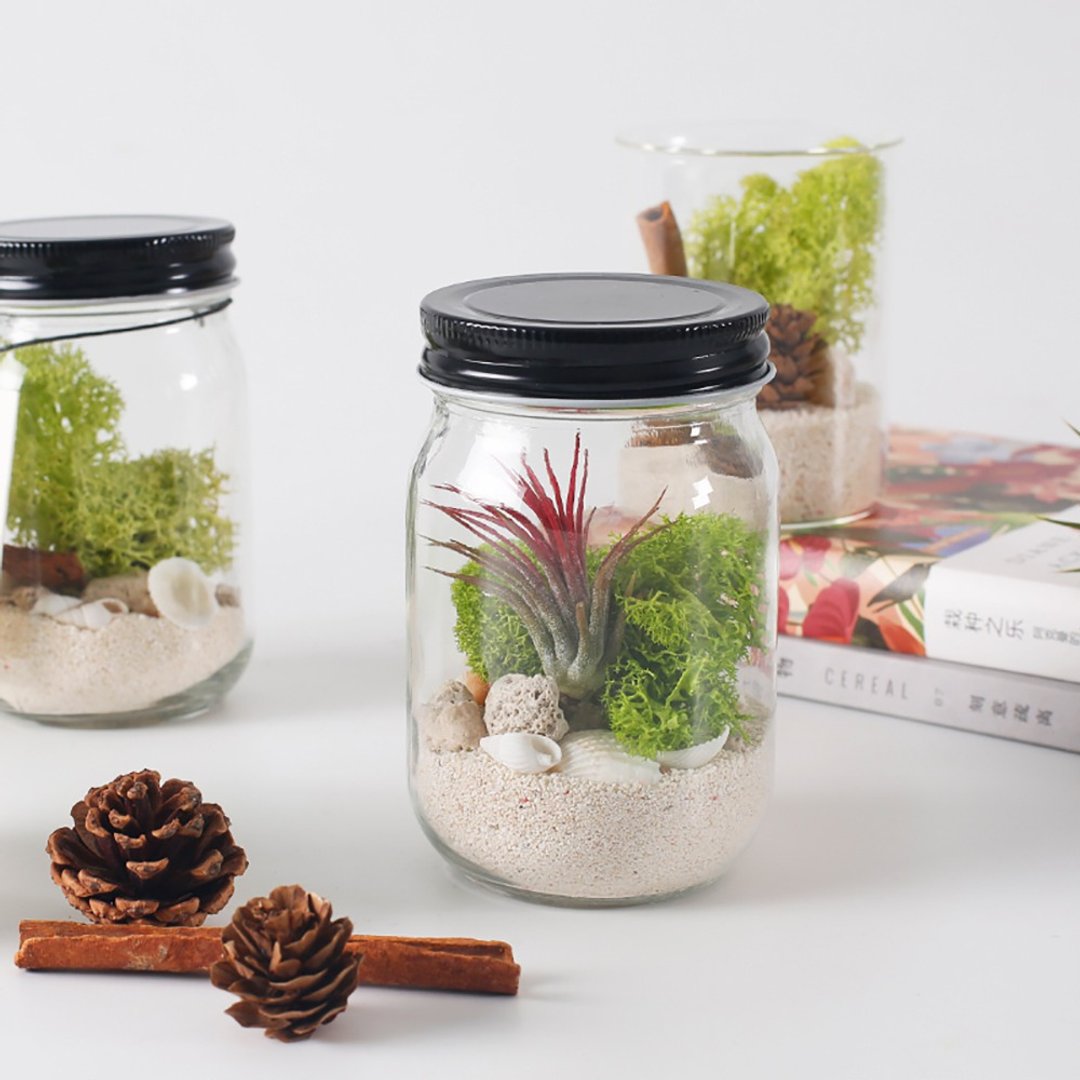【炭草花】DIY手工自制微景观材料包套件桌面青苔摆件 - 包装材料 - 其他材质 多色