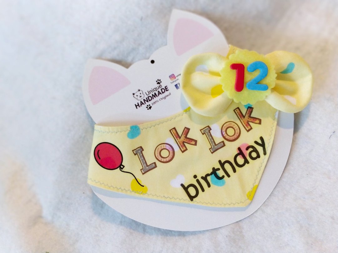 宠物蝴蝶结生日名字 围巾 + 岁数   birthday ribbon + age - 衣/帽 - 棉 黄色