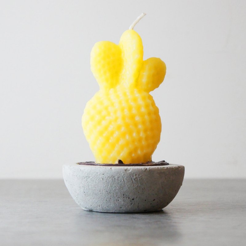 <黄金万两> - 植物盆栽蜡烛含驱蚊油摆设 - 蜡烛/烛台 - 蜡 黄色