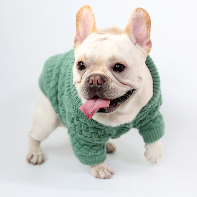 宠物狗翻领开襟毛衣 Baby绿 - 衣/帽 - 聚酯纤维 